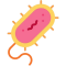 微生物基础知识