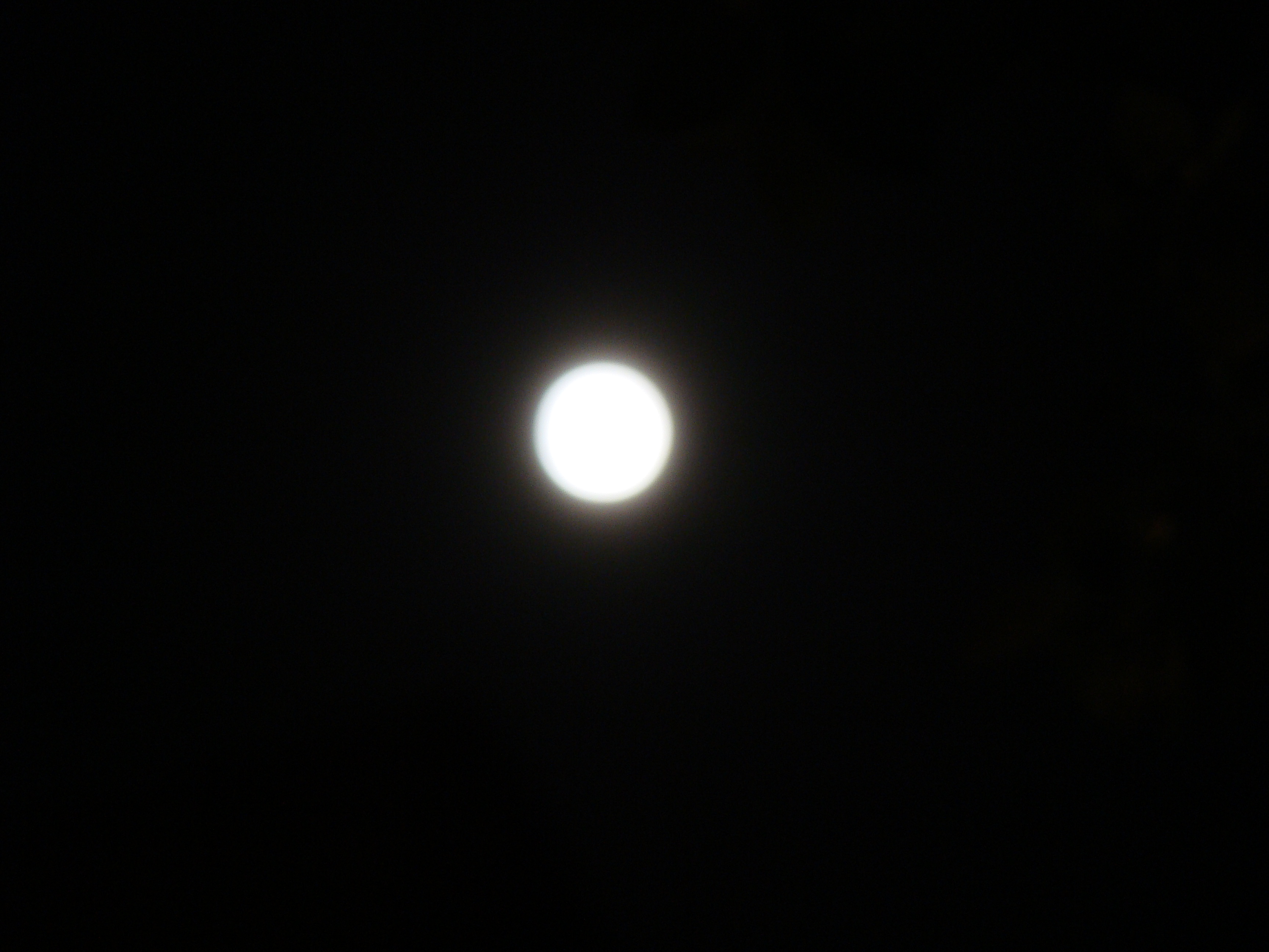 DSC07197.JPG