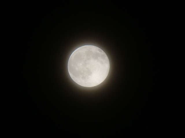 DSC07209.JPG