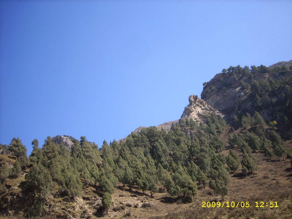 SPA57211.JPG