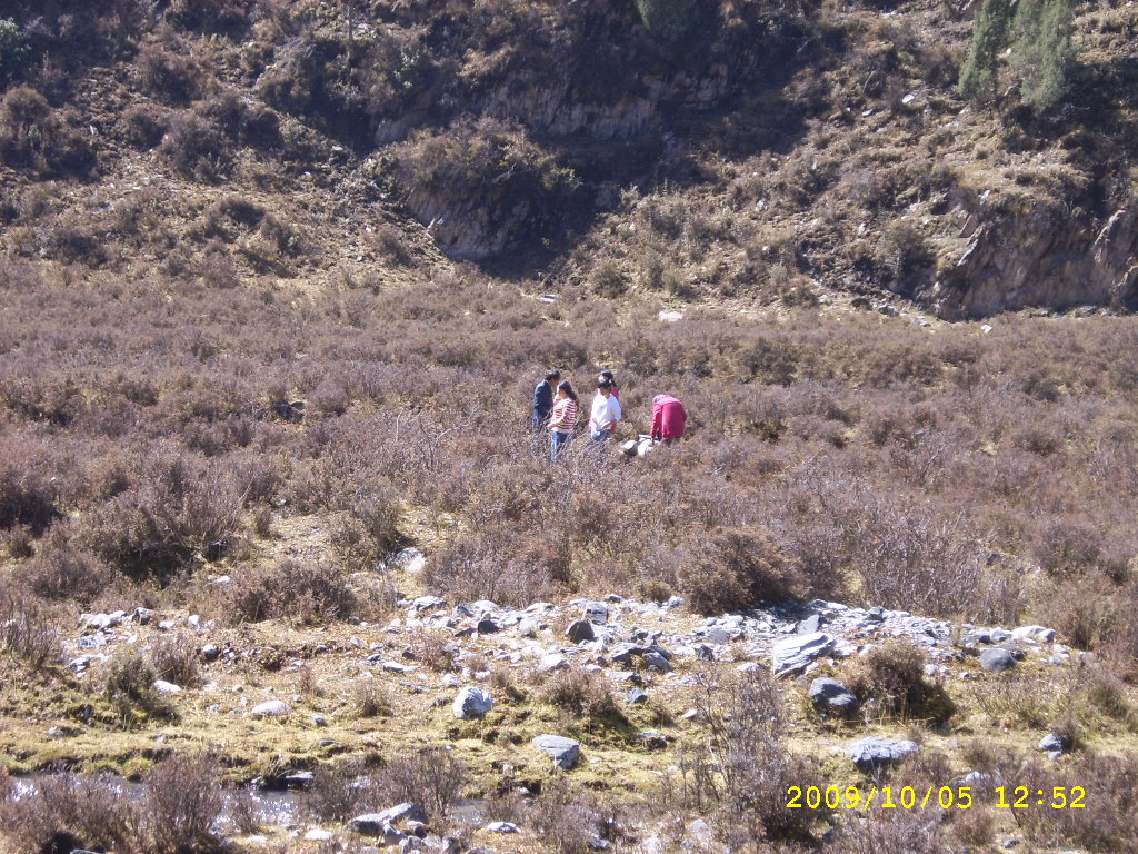 SPA57213.JPG