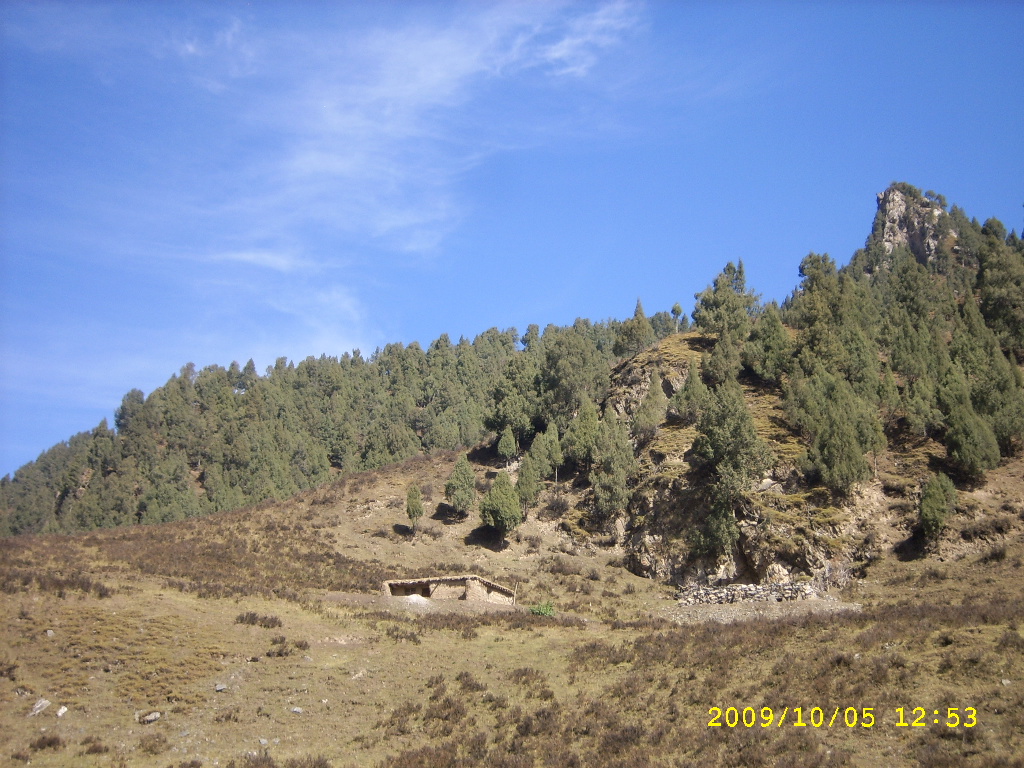 SPA57216.JPG
