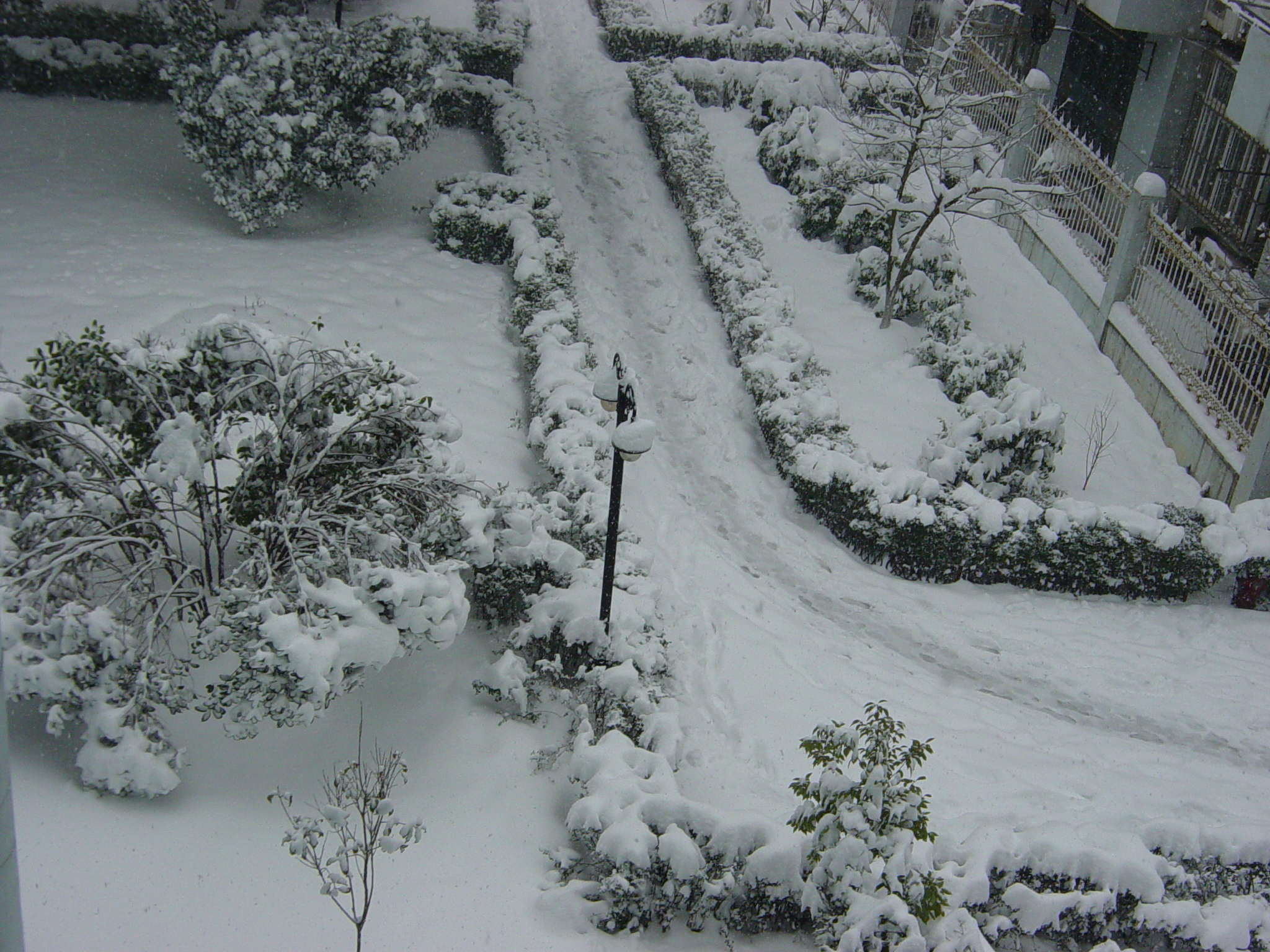 DSC00010.JPG