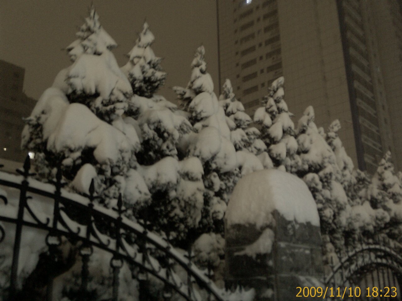 IMAGE_829.jpg