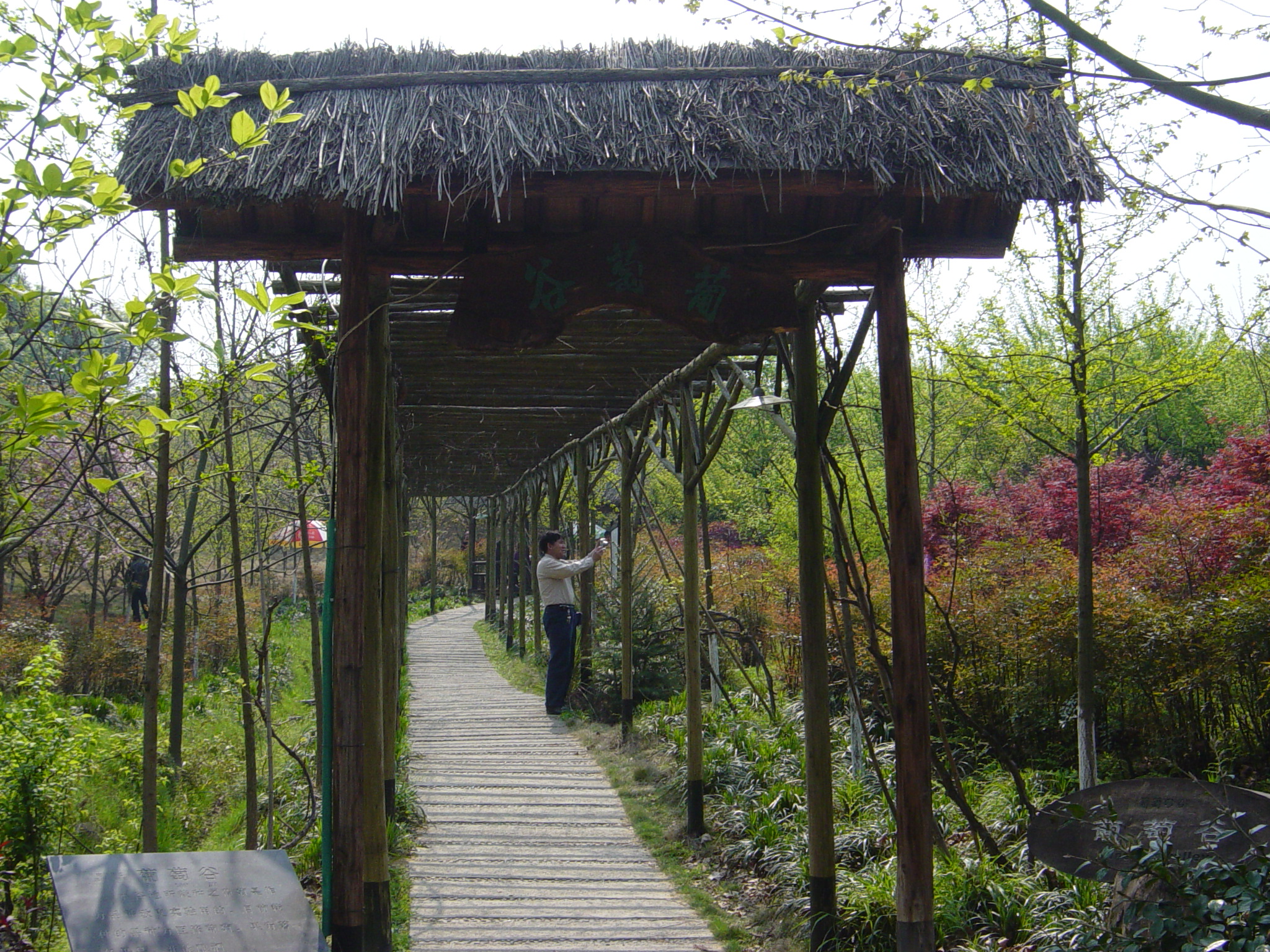DSC00020.JPG