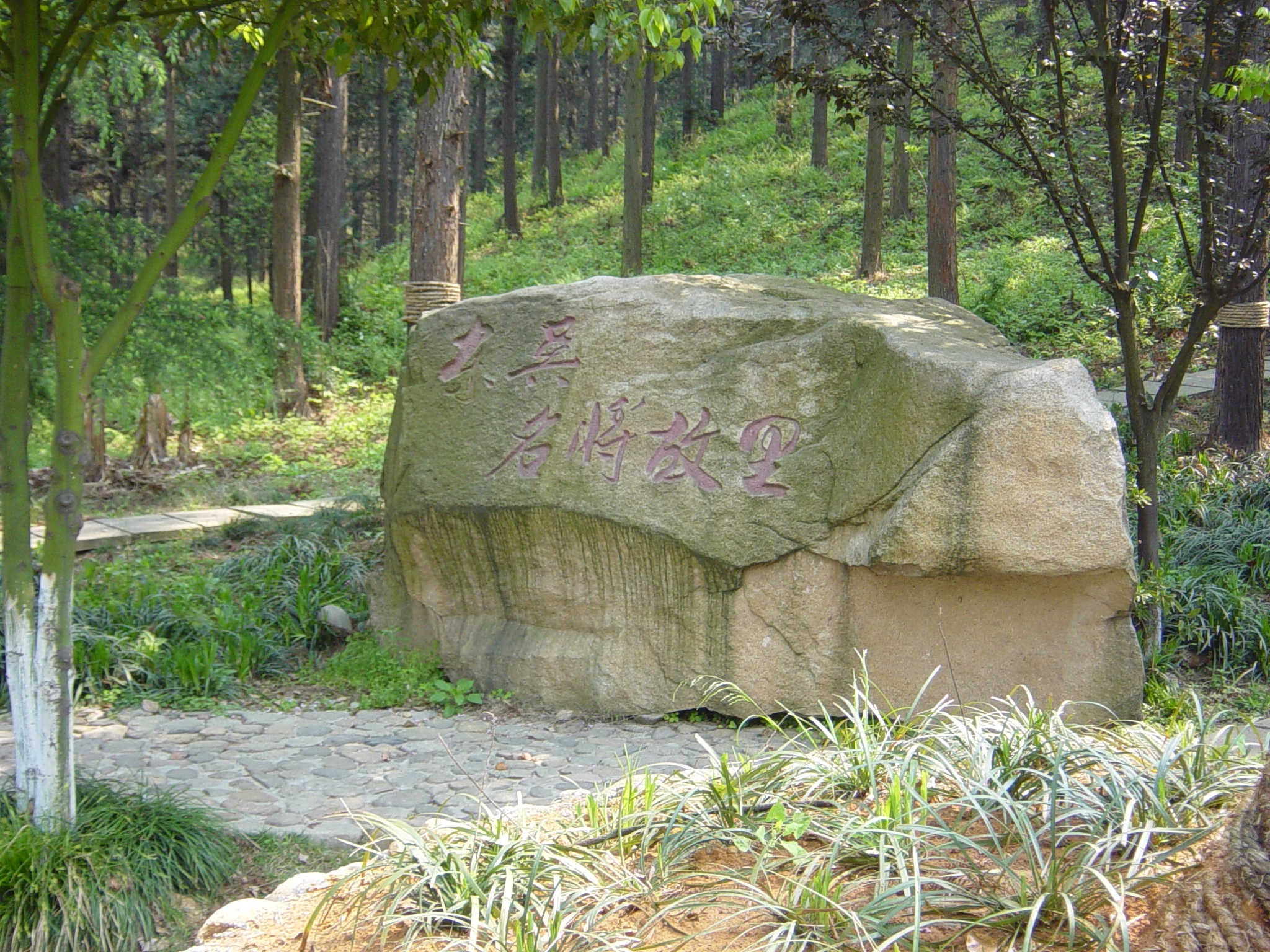 DSC00022.JPG