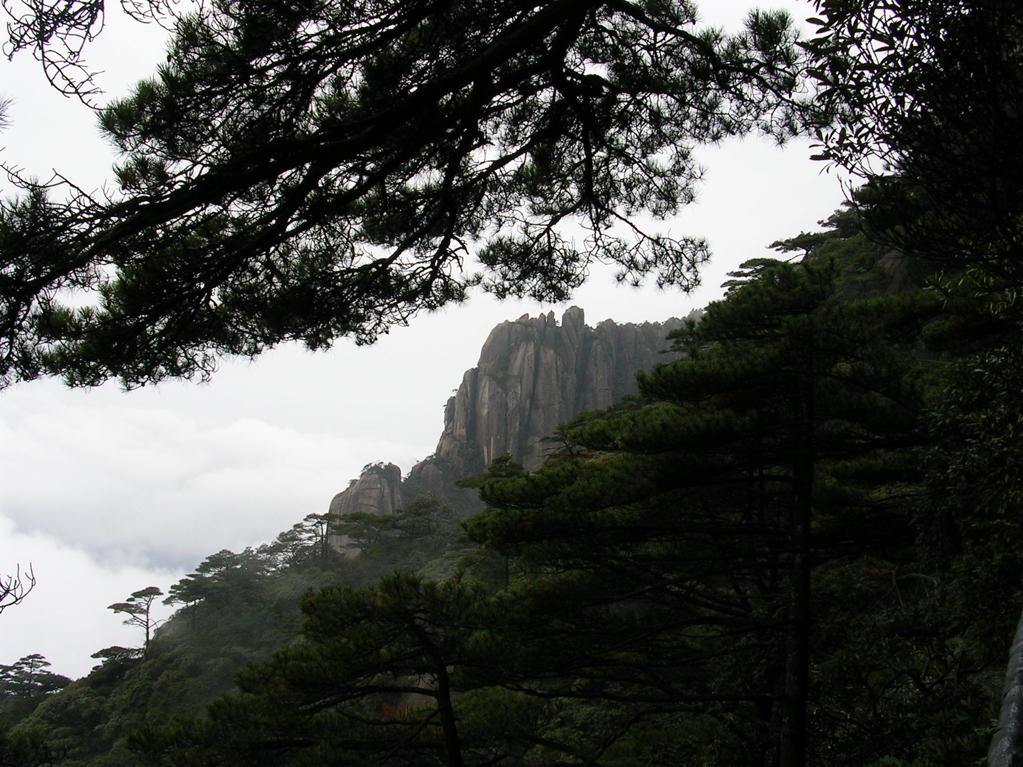 DSCN1642.JPG