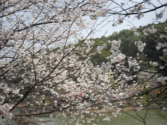 未命名11.jpg