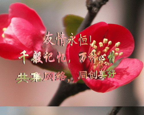 0912111121a9cc270cffcf5457.gif