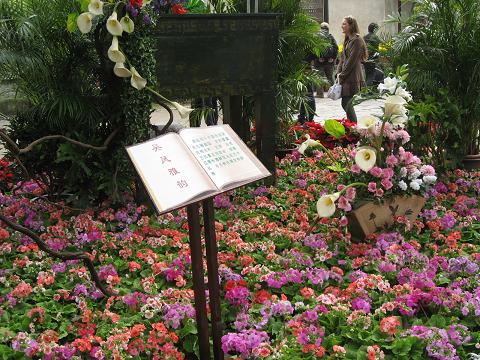 w1.JPG