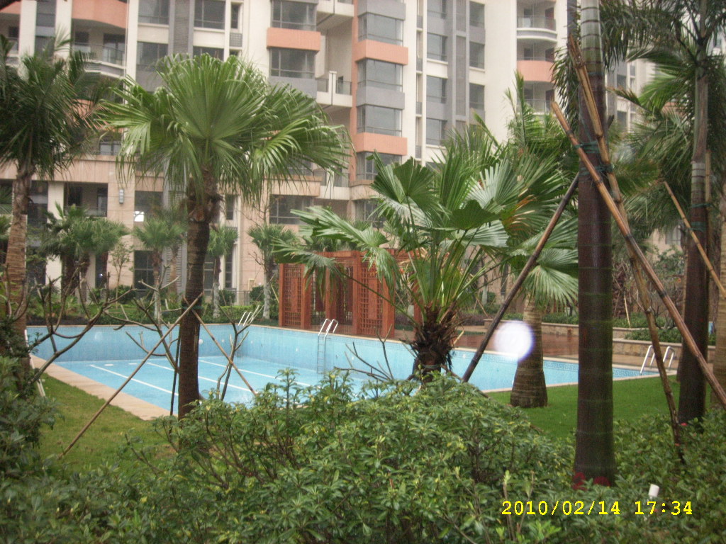 SPA57798.JPG