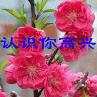未命名6.gif