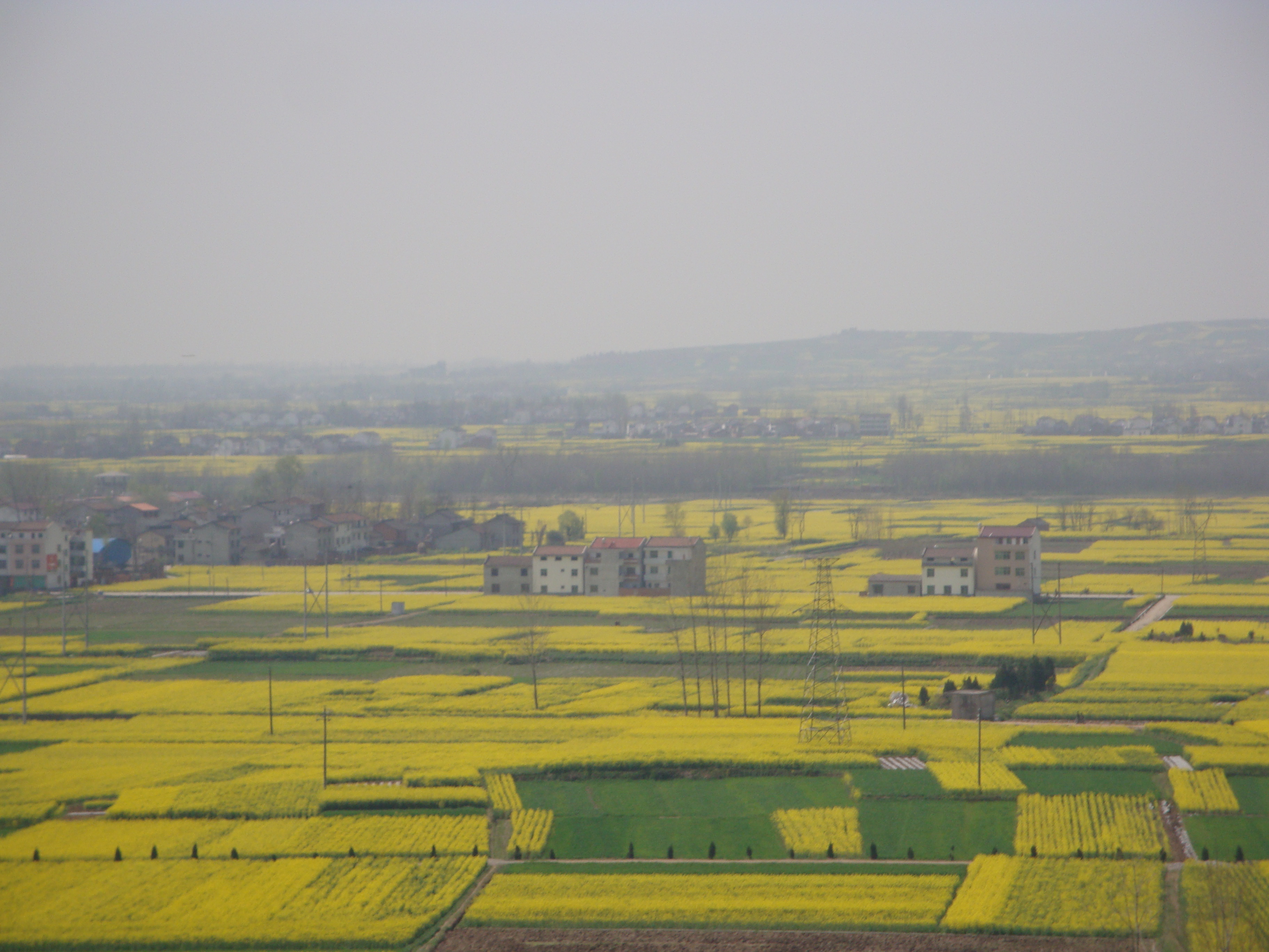 DSC05053.JPG