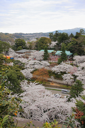 日本1.jpg