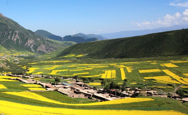 拉鸡山下的美丽田园.jpg