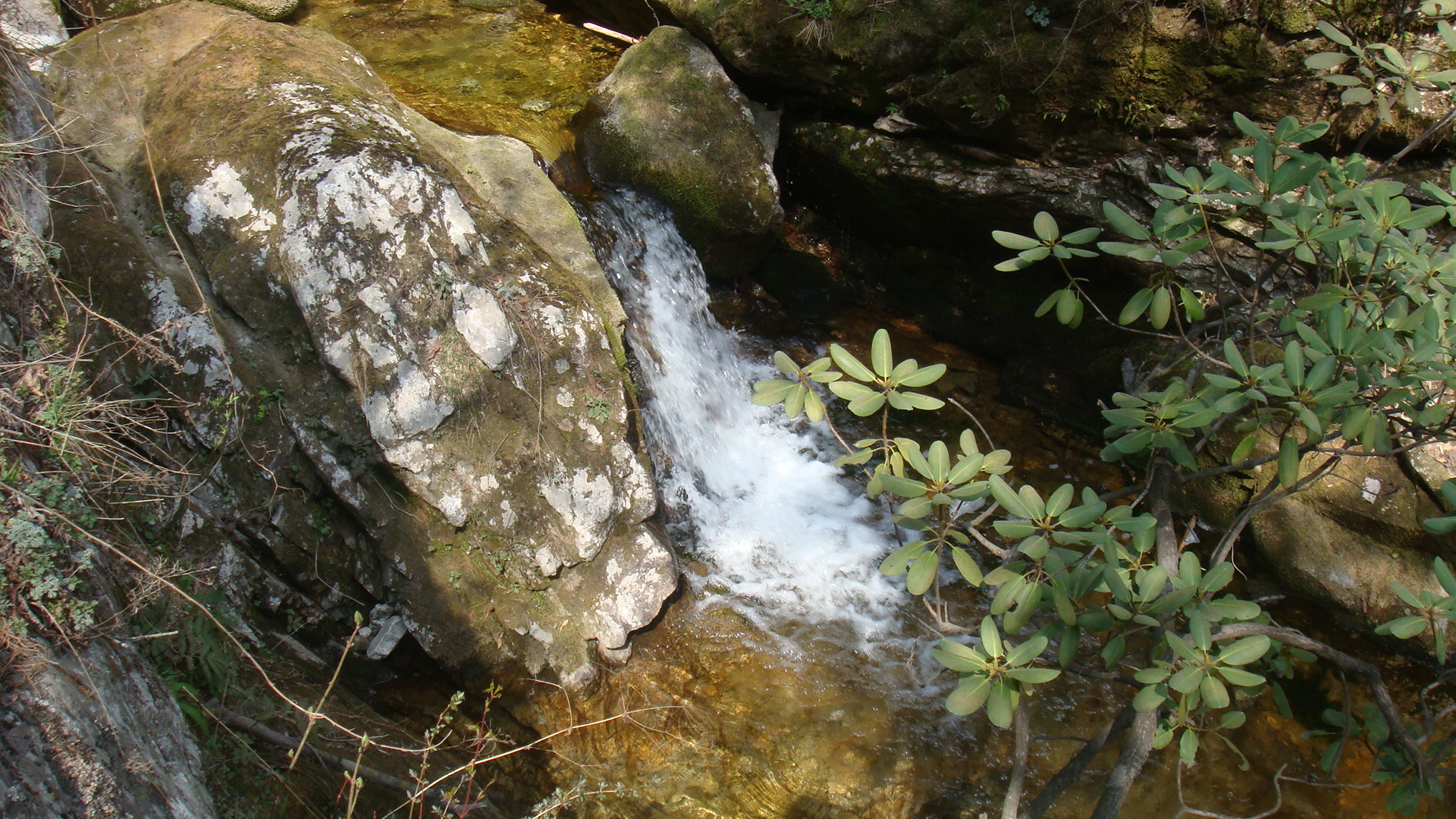 DSC05443.JPG