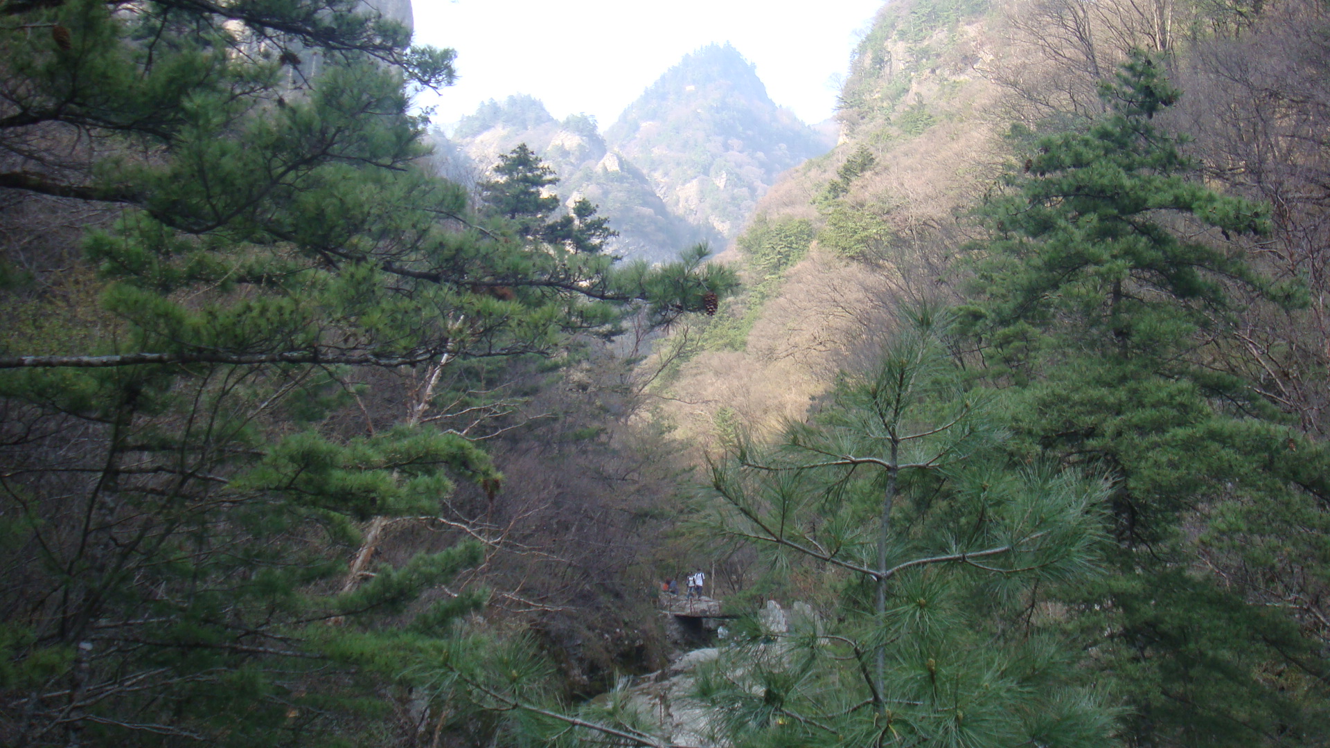 DSC05512.JPG