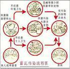 QQ截图未命名3.png
