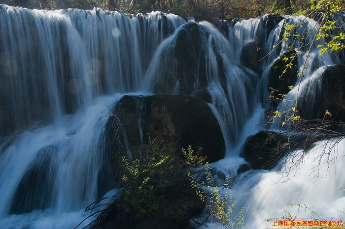 DSCF6227.jpg