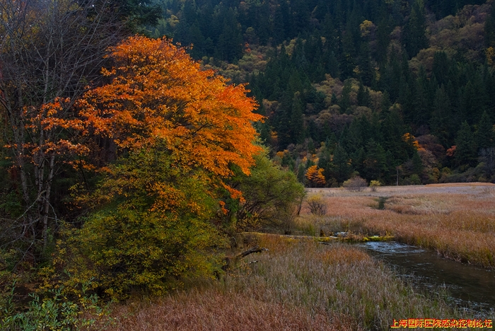 DSCF6357.jpg