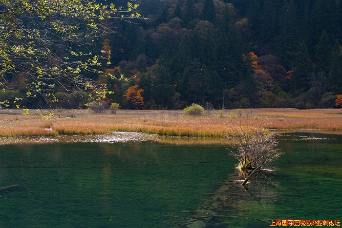 DSCF6376.jpg
