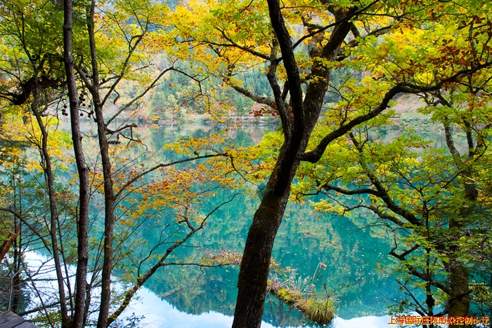 DSCF6423.jpg