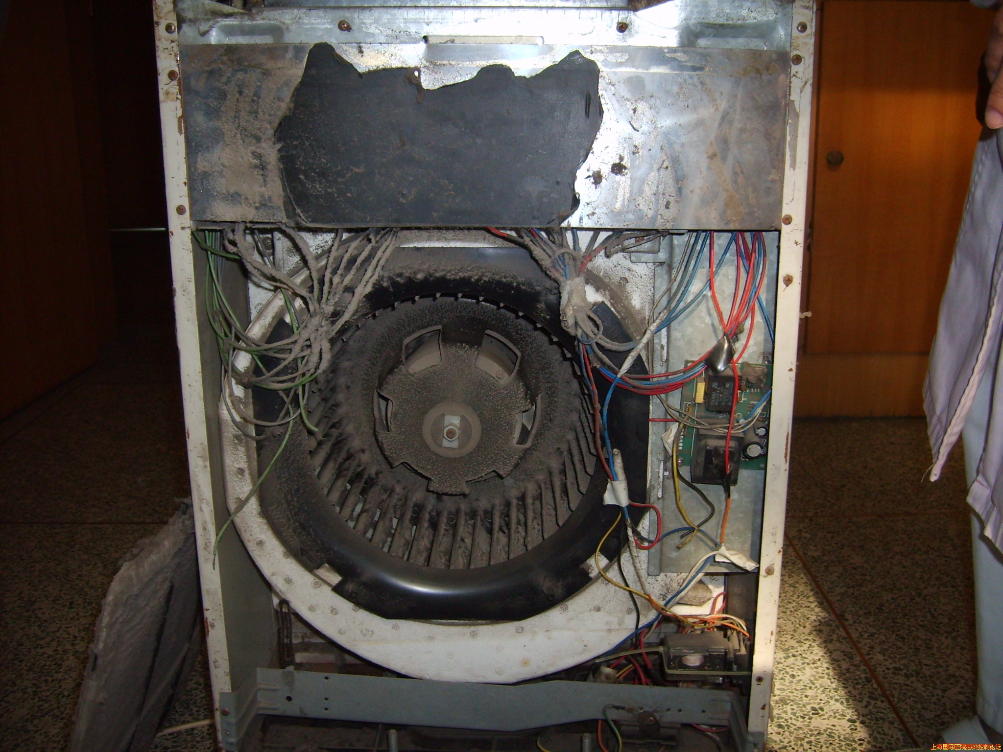 S5001390.JPG