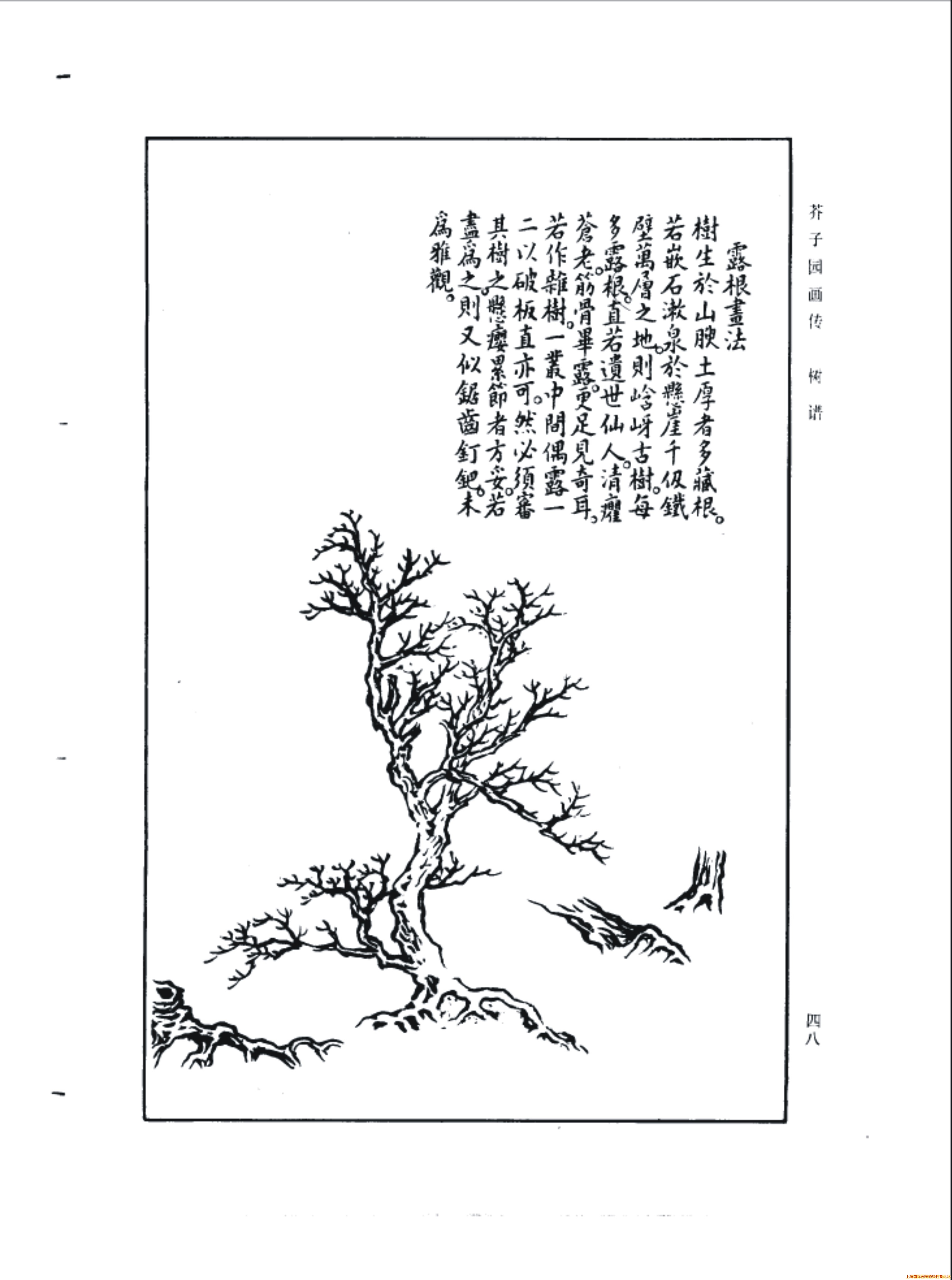 图形1.jpg