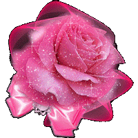 山茶花.gif
