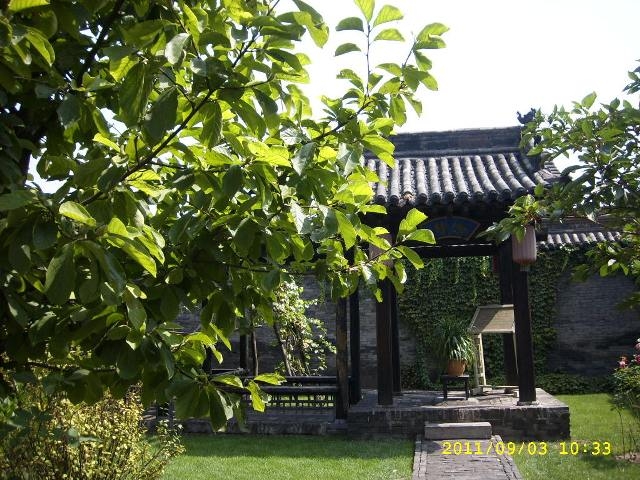 SPA59747.JPG