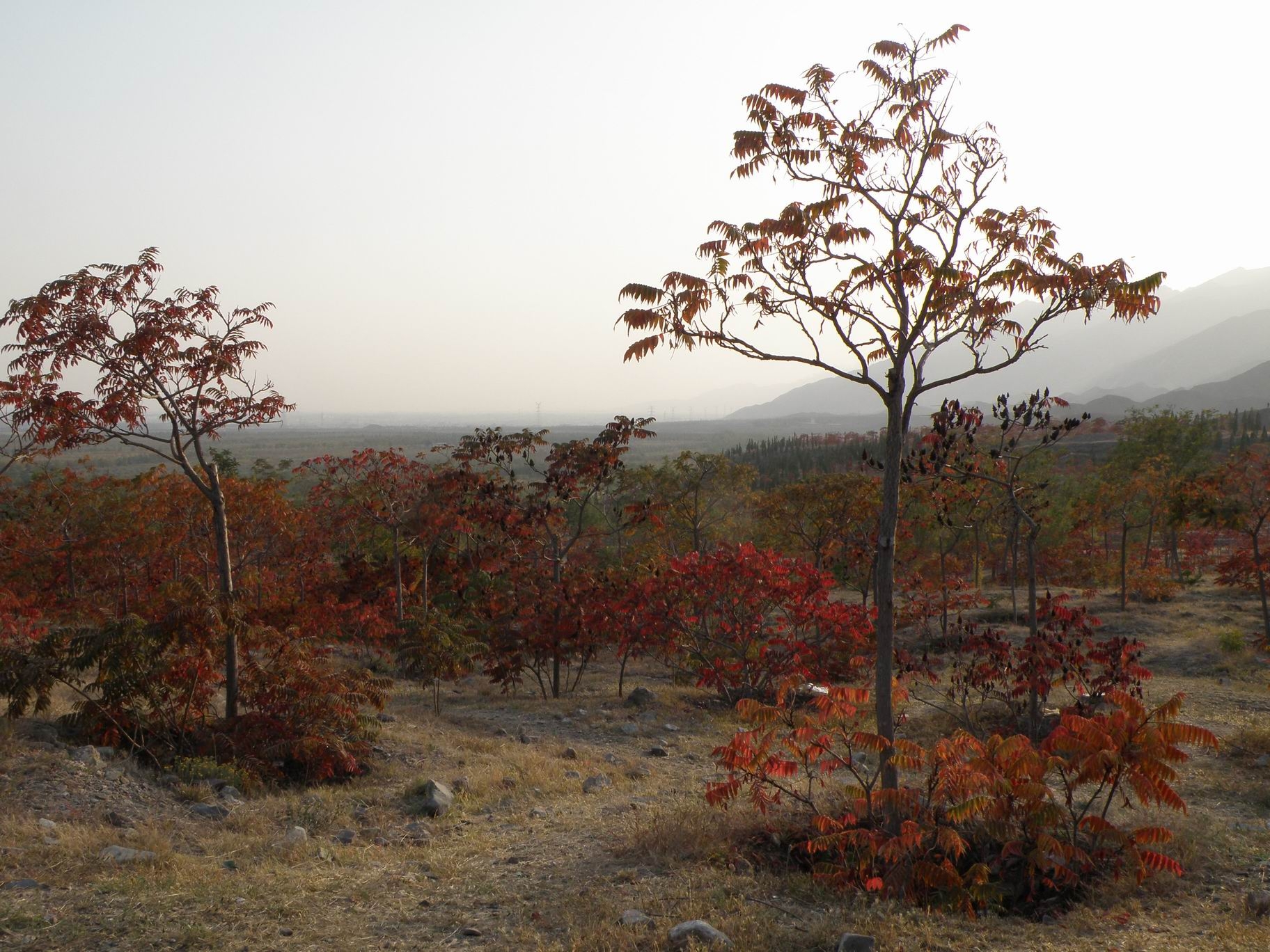 P1010055.JPG