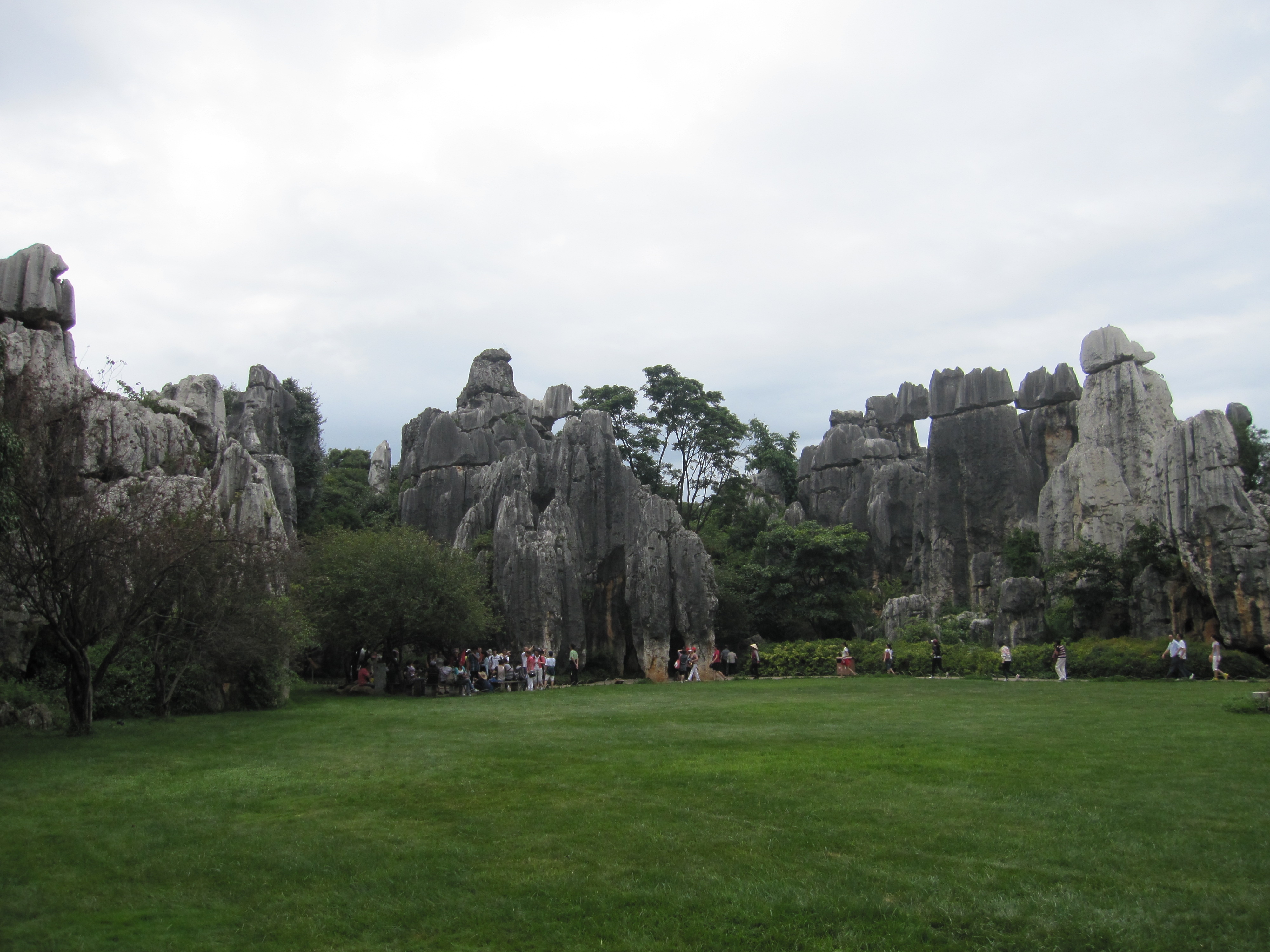 IMG_4907.JPG