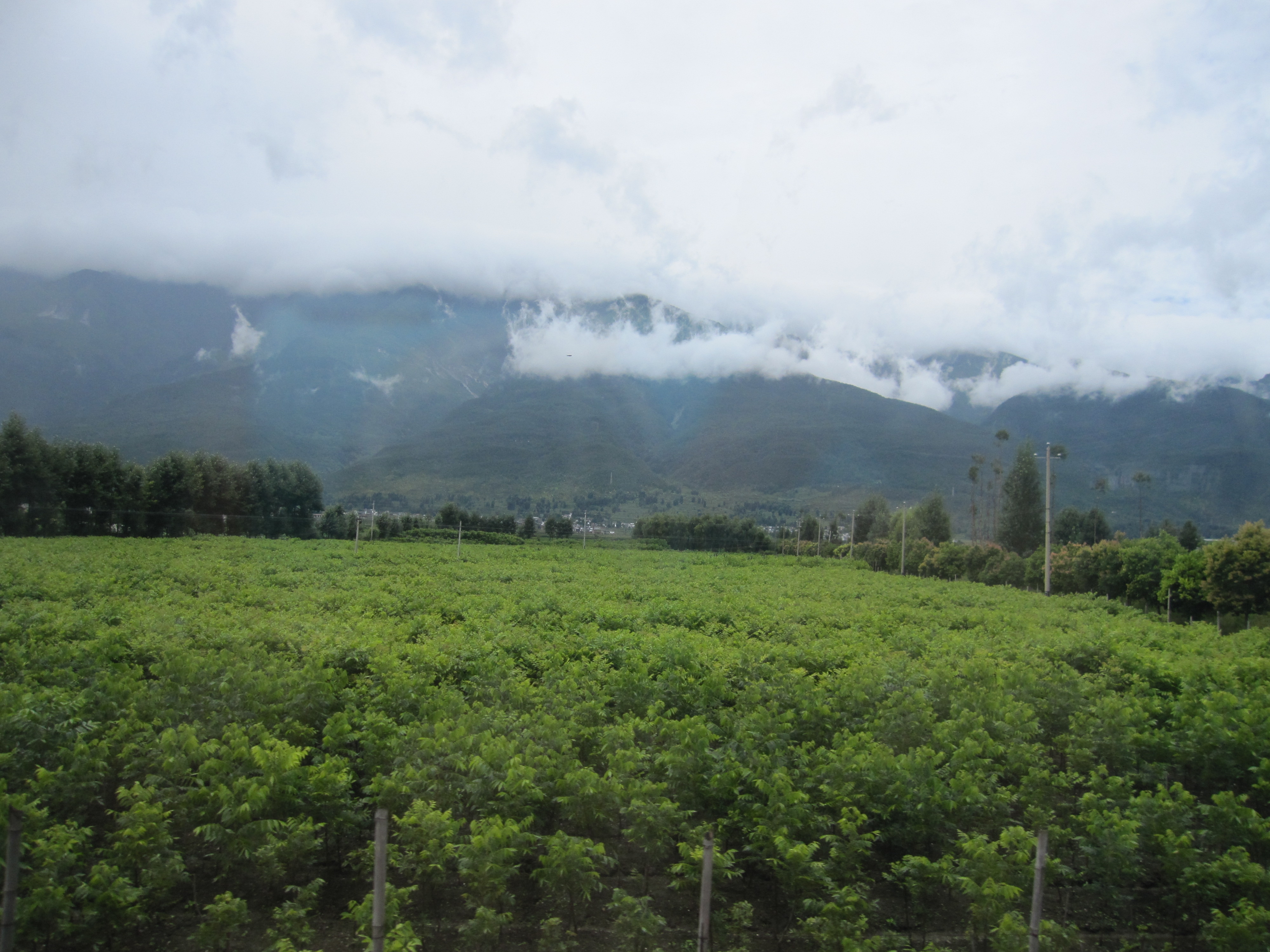 IMG_4555.JPG