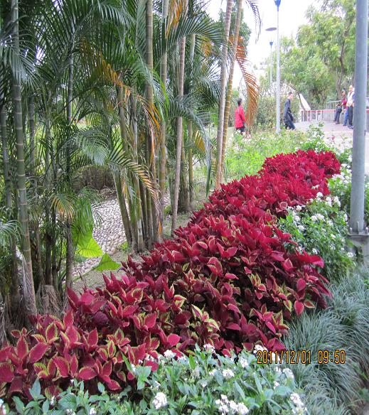 IMG_1462.jpg