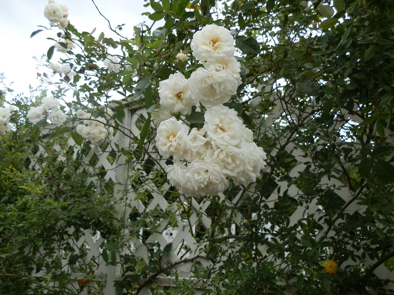 PC010165.JPG