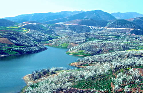 20110314110953_56789.jpg
