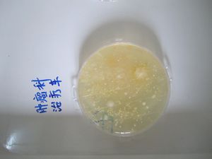 照片 074.jpg