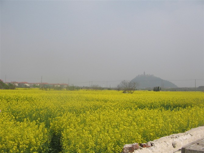 {3D59BC8D-0A13-4D9D-96F1-AA31D2056ED8}.jpg