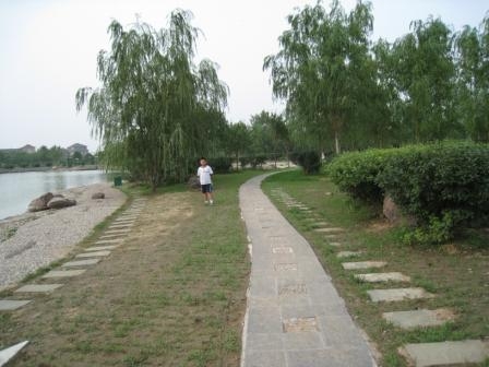 新城区石博园1.JPG