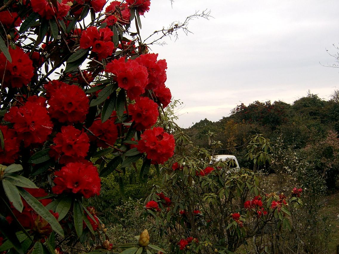 磨盘山景3.JPG