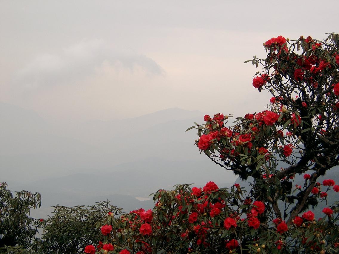 磨盘山景6.JPG