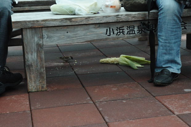 温泉_11.JPG