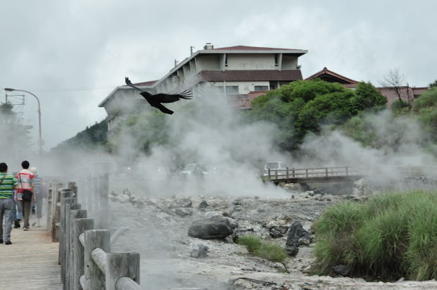 温泉_25.JPG