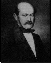 塞麦尔韦斯.png