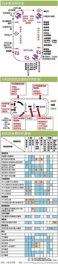 一图读懂抗生素选择.jpg