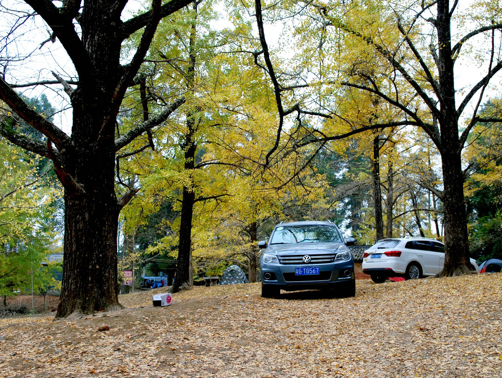 DSC_8106.JPG