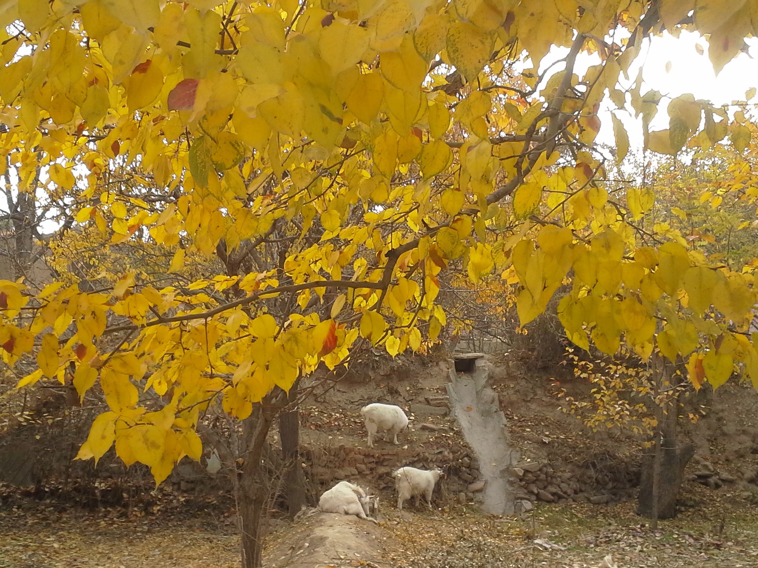20131112_113410.jpg