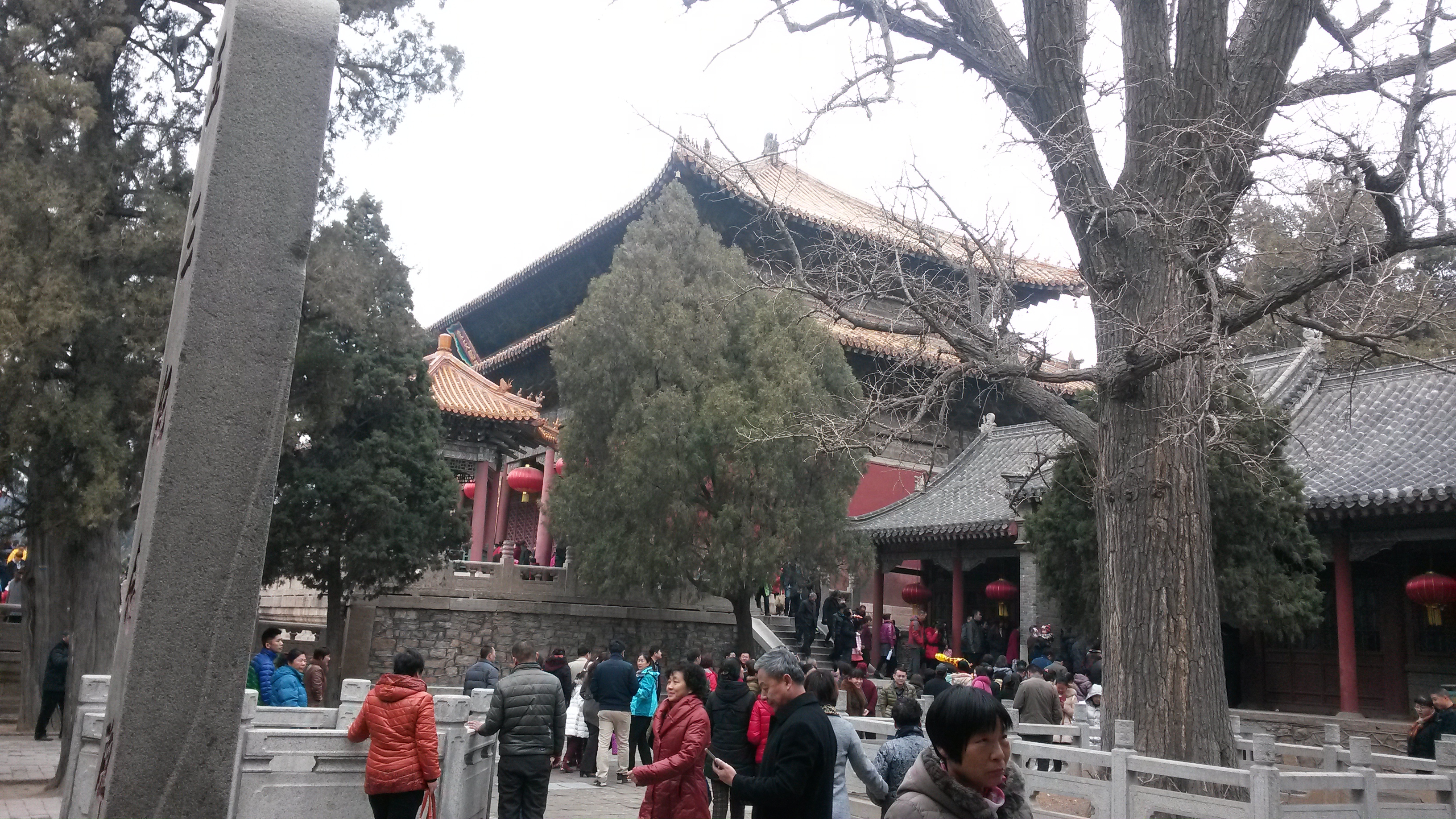 20150219_110816.jpg