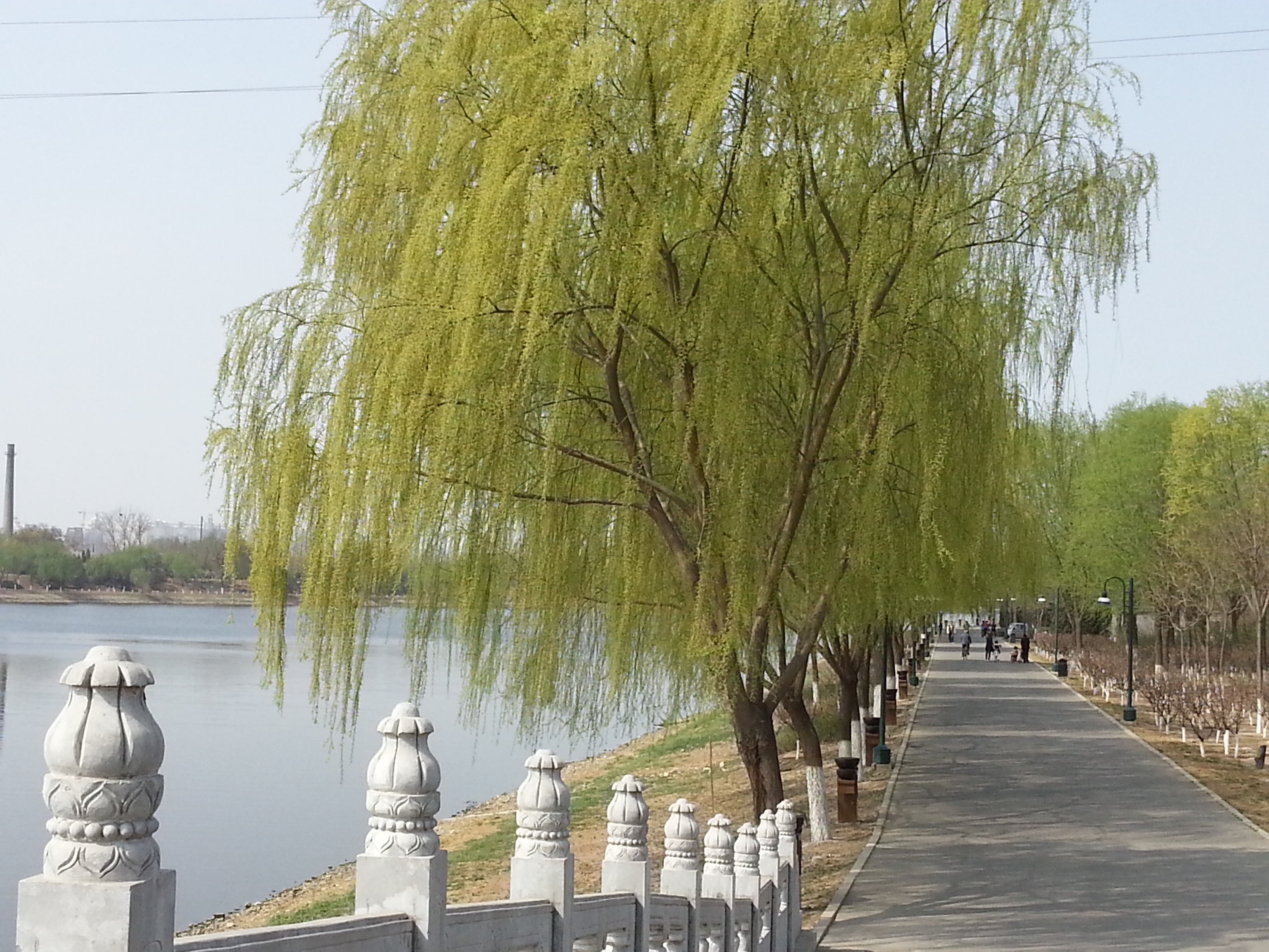 20140329_102312.jpg