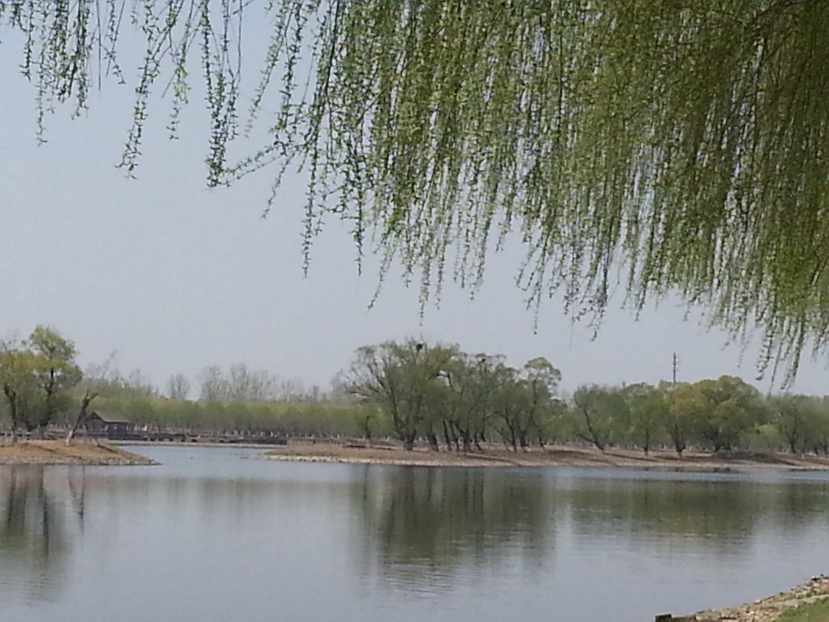 20140329_120942.jpg